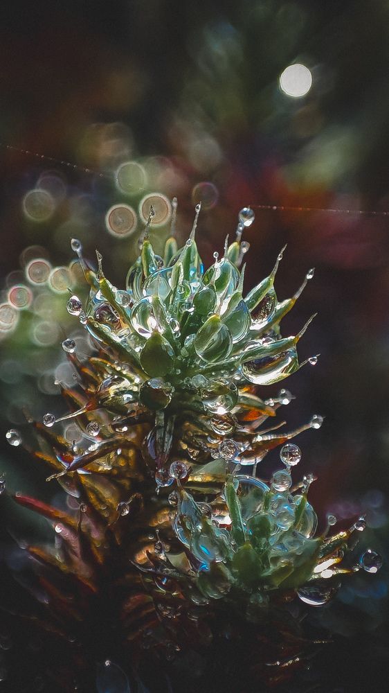 Photograph by Анечка Машенькина