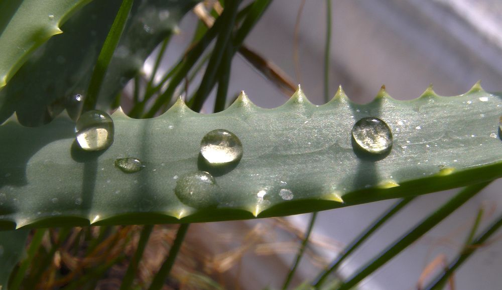 Фотография автора Всеволод
