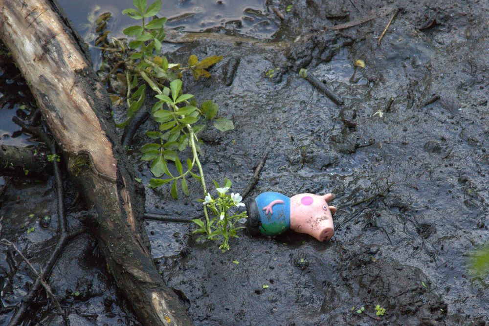 Photograph by Светлана Кравченко