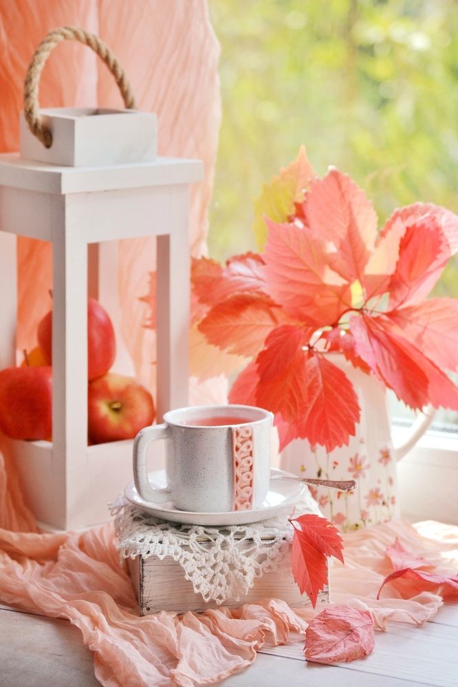 Photograph by Marina Gritchina