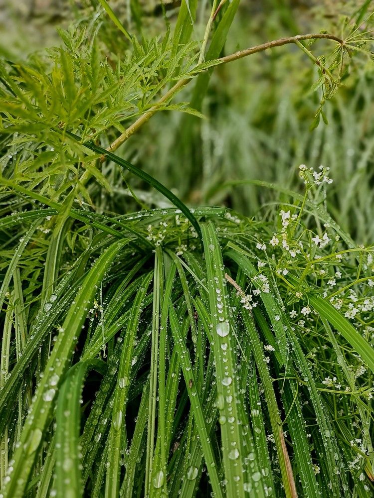 Photograph by Татьяна Яцкевич