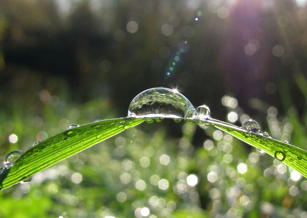 Волшебный мостик