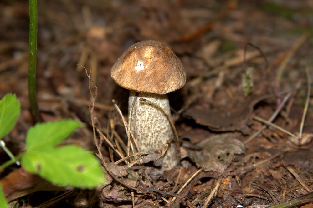 Photograph by Светлана Кравченко