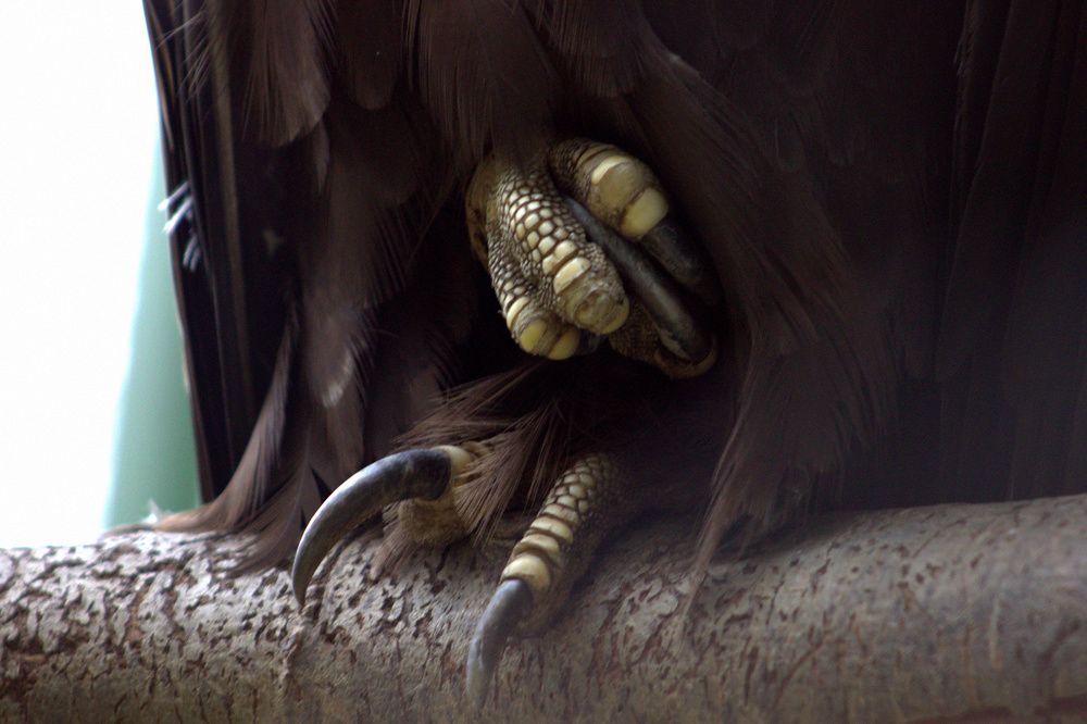 Photograph by Светлана Кравченко