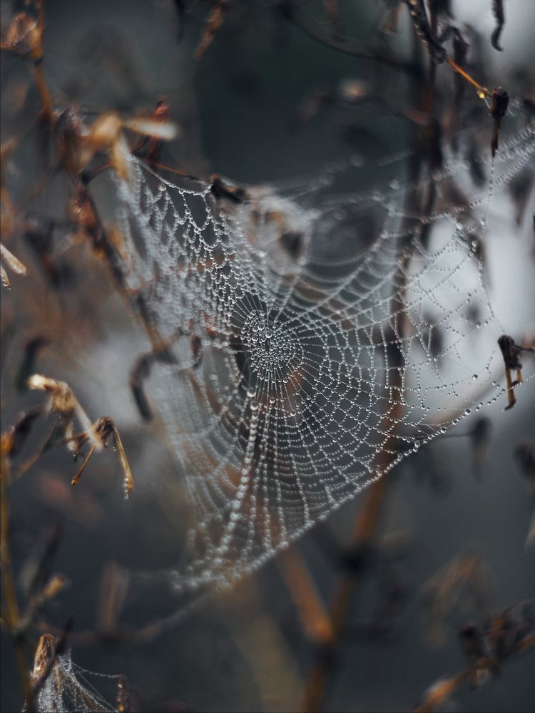 Photograph by Анна Любимова