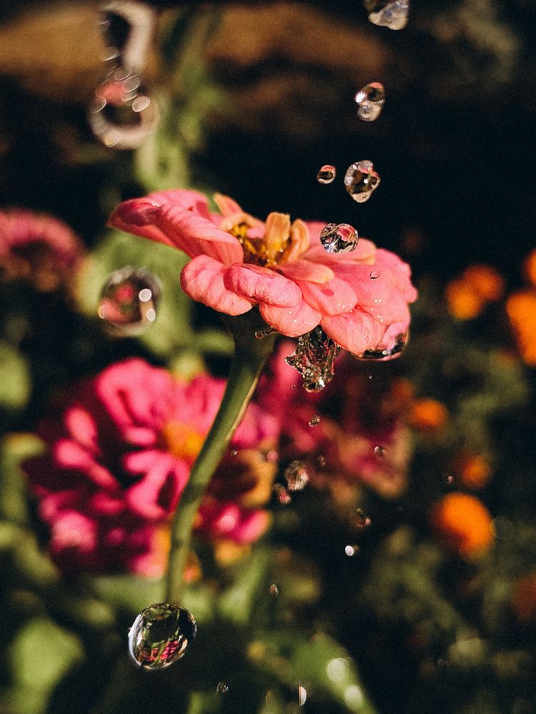 Photograph by Катрина Покумейко