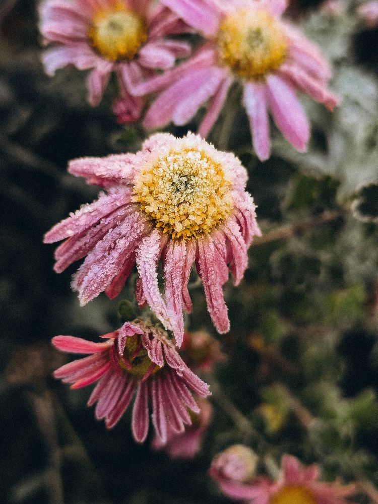 Photograph by Катрина Покумейко