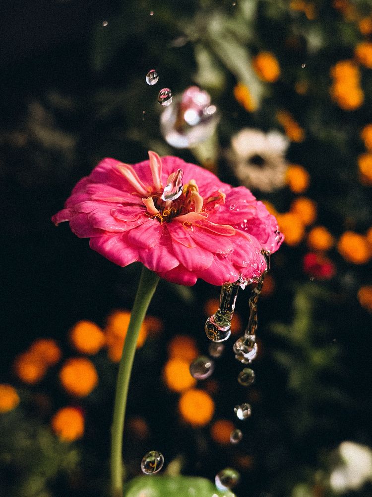 Photograph by Катрина Покумейко