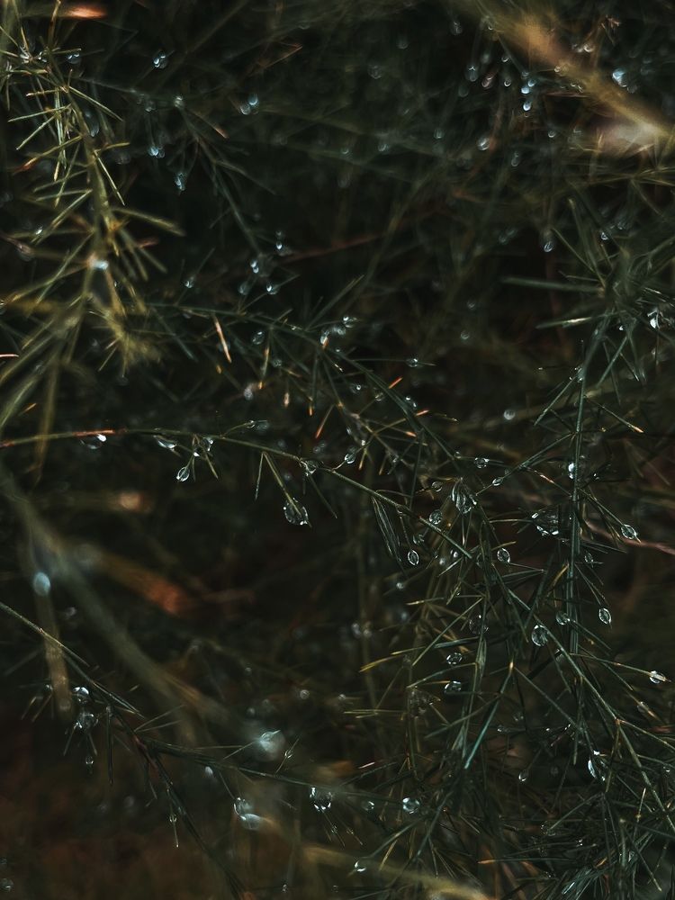 Photograph by Алиса Чугунова