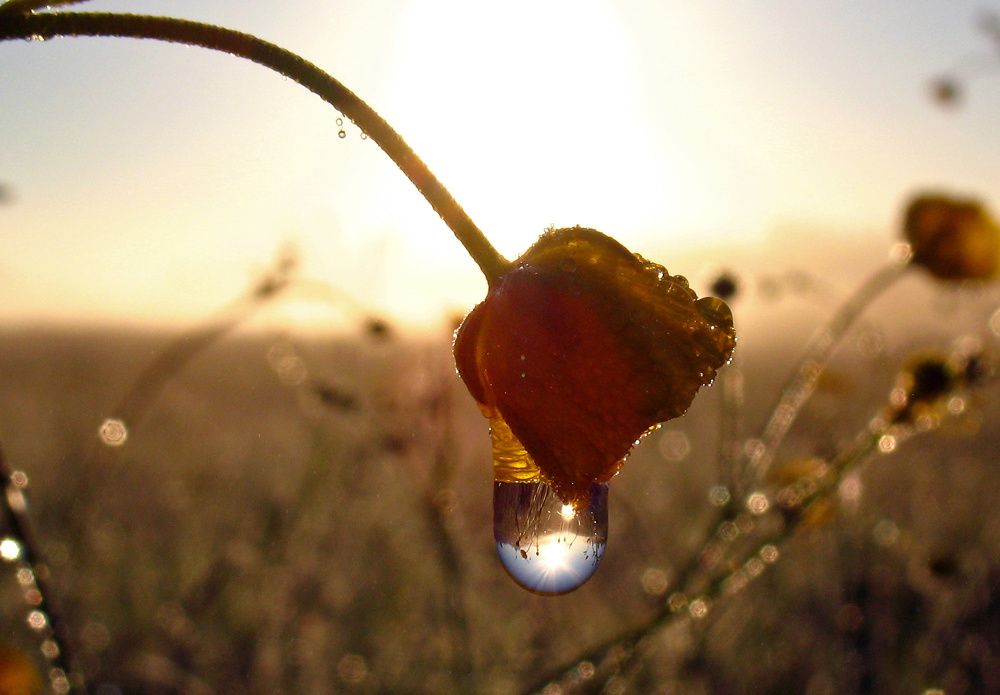 На рассвете