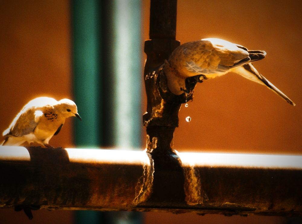 Photograph by Владимир Ким