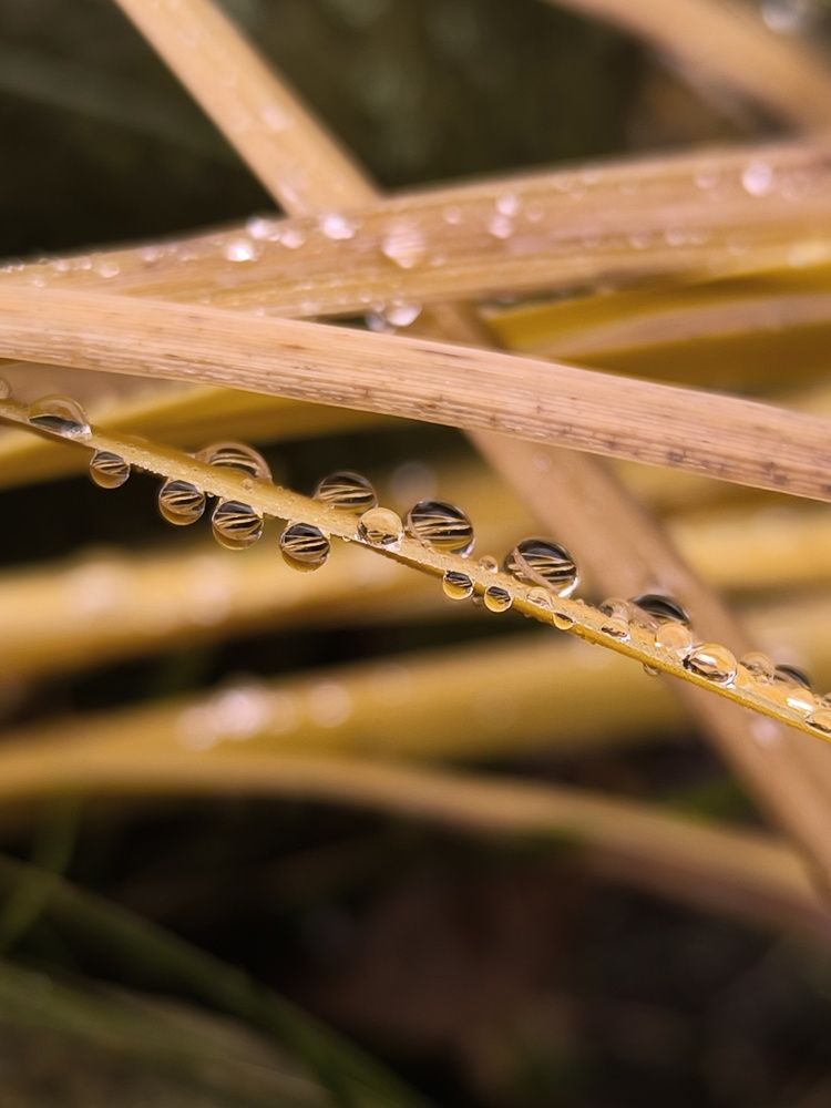 Photograph by Катрина Покумейко
