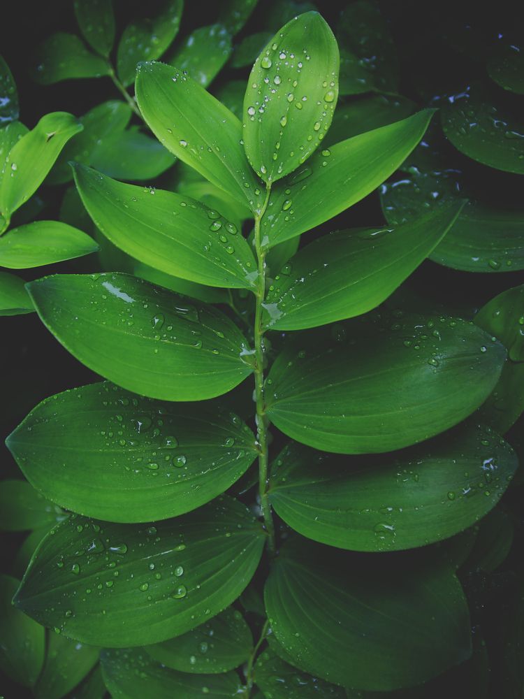 Photograph by Екатерина Кузнецова