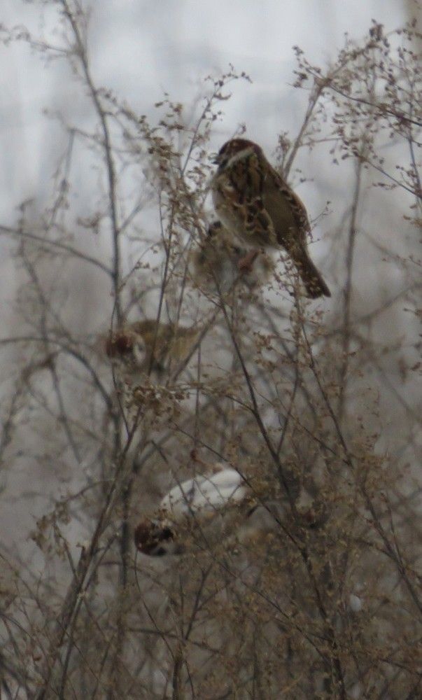 Photograph by Елена Кузина