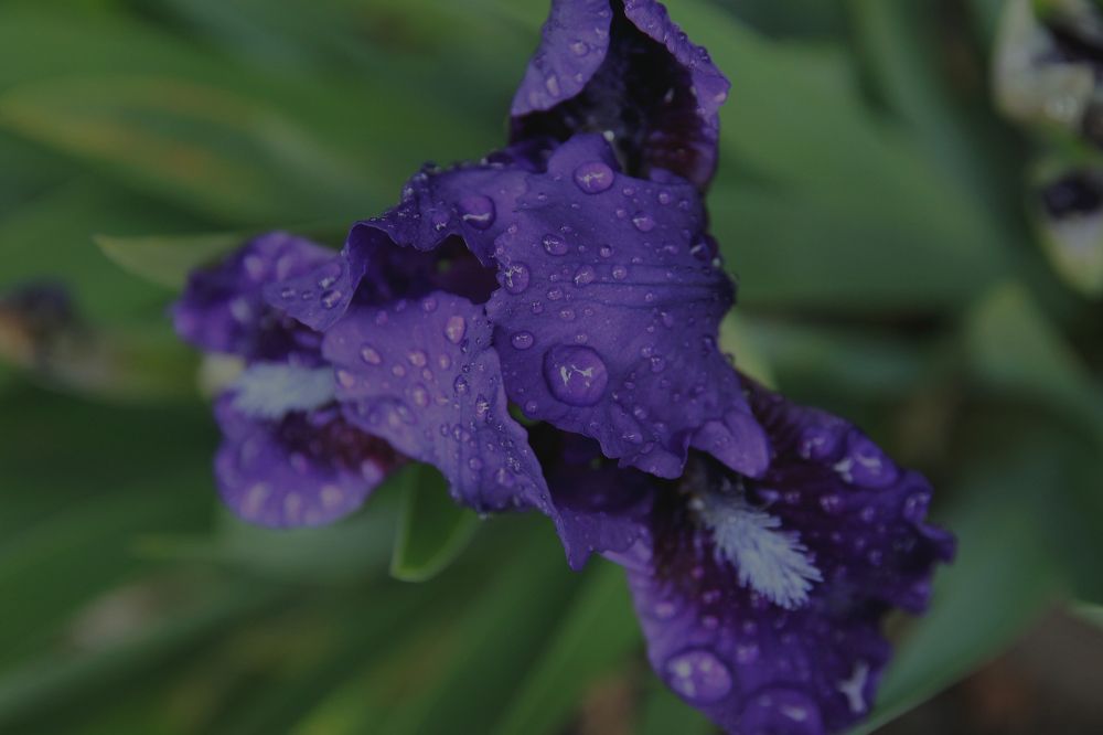 Photograph by Екатерина Кузнецова