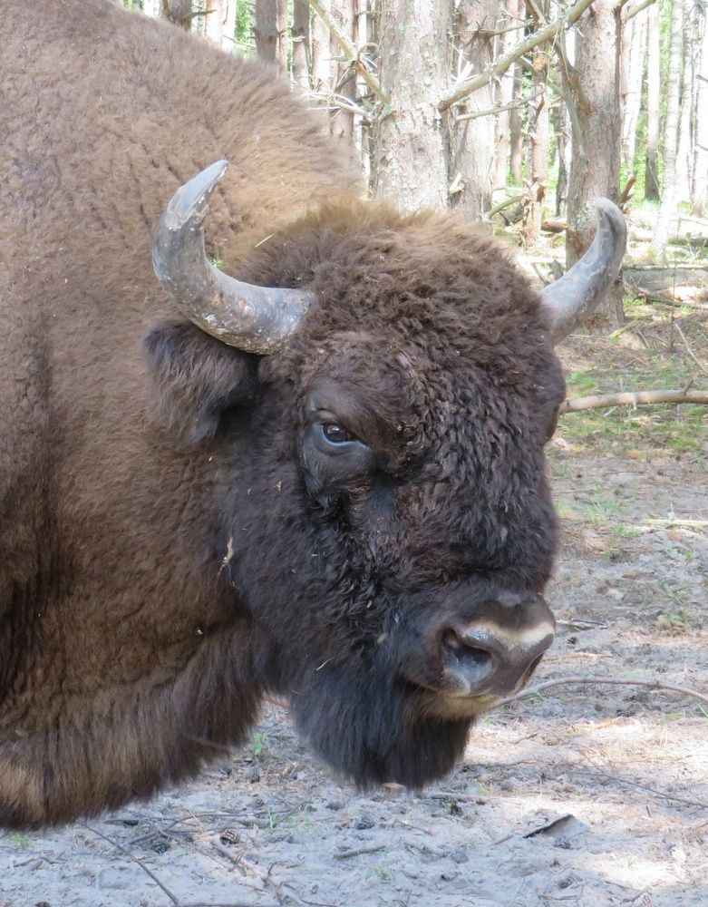 Photograph by Елена Кузина