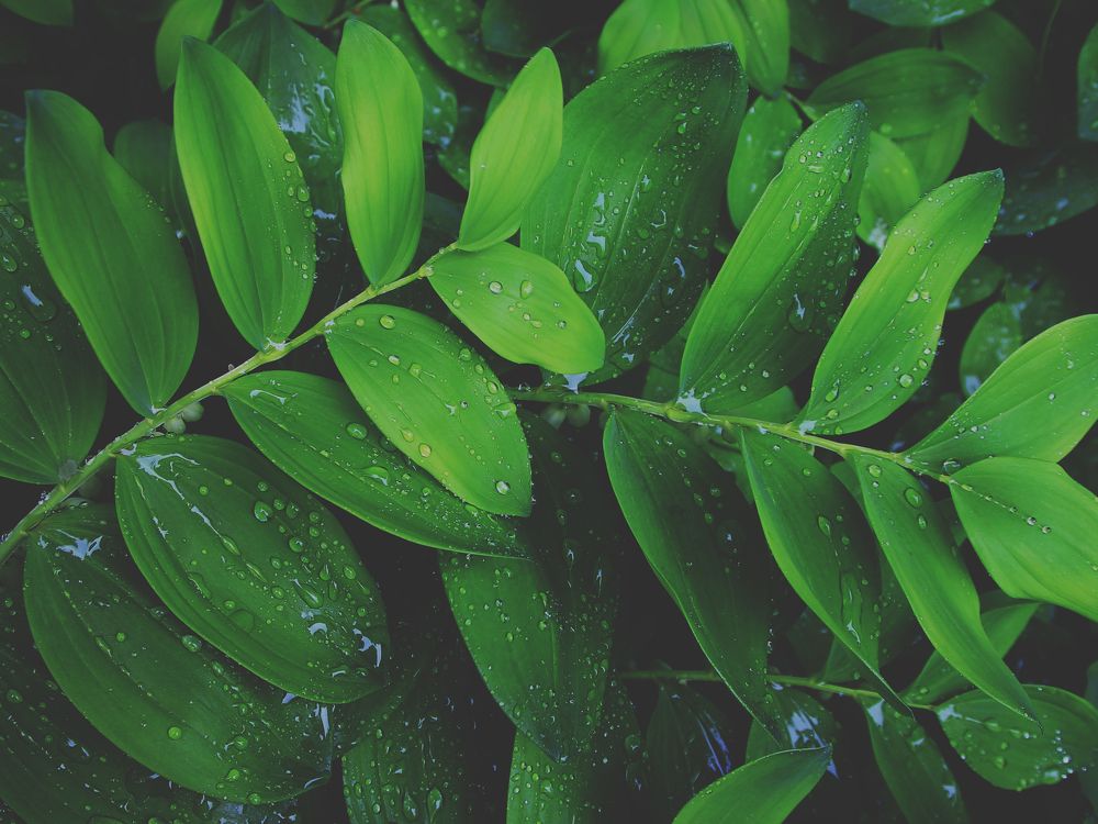 Photograph by Екатерина Кузнецова