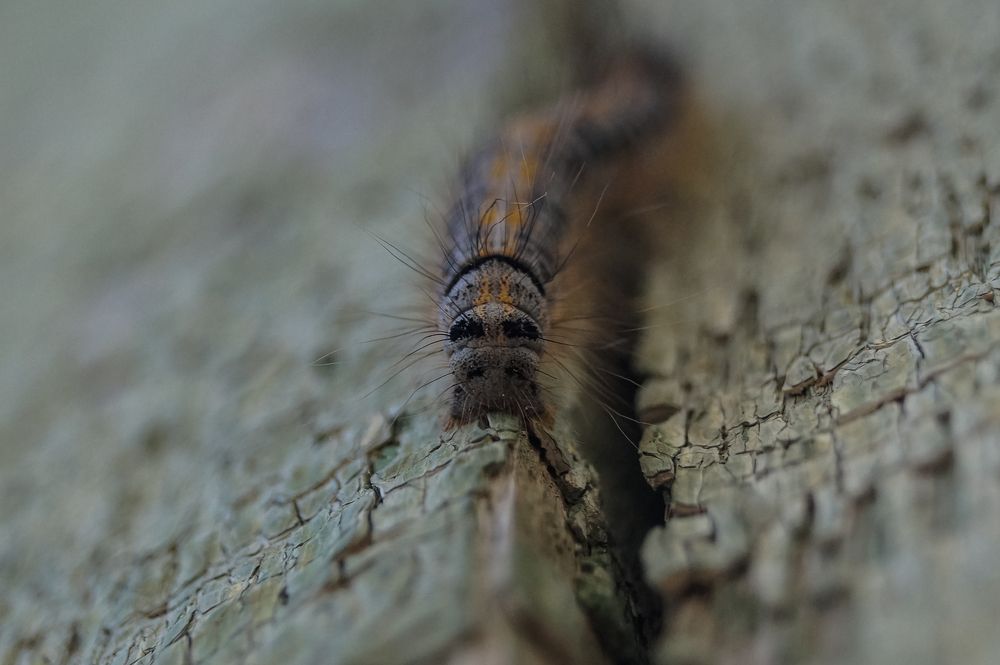 Photograph by Виктор Сёмушкин