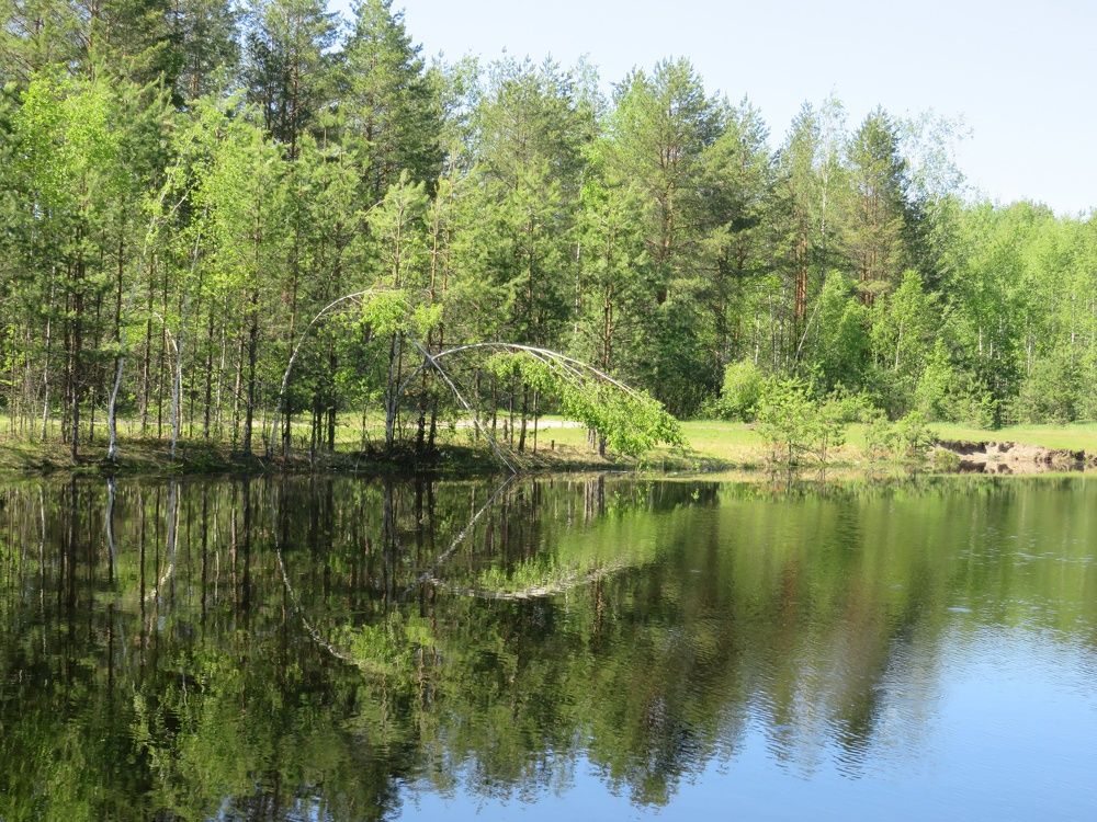 Photograph by Елена Кузина