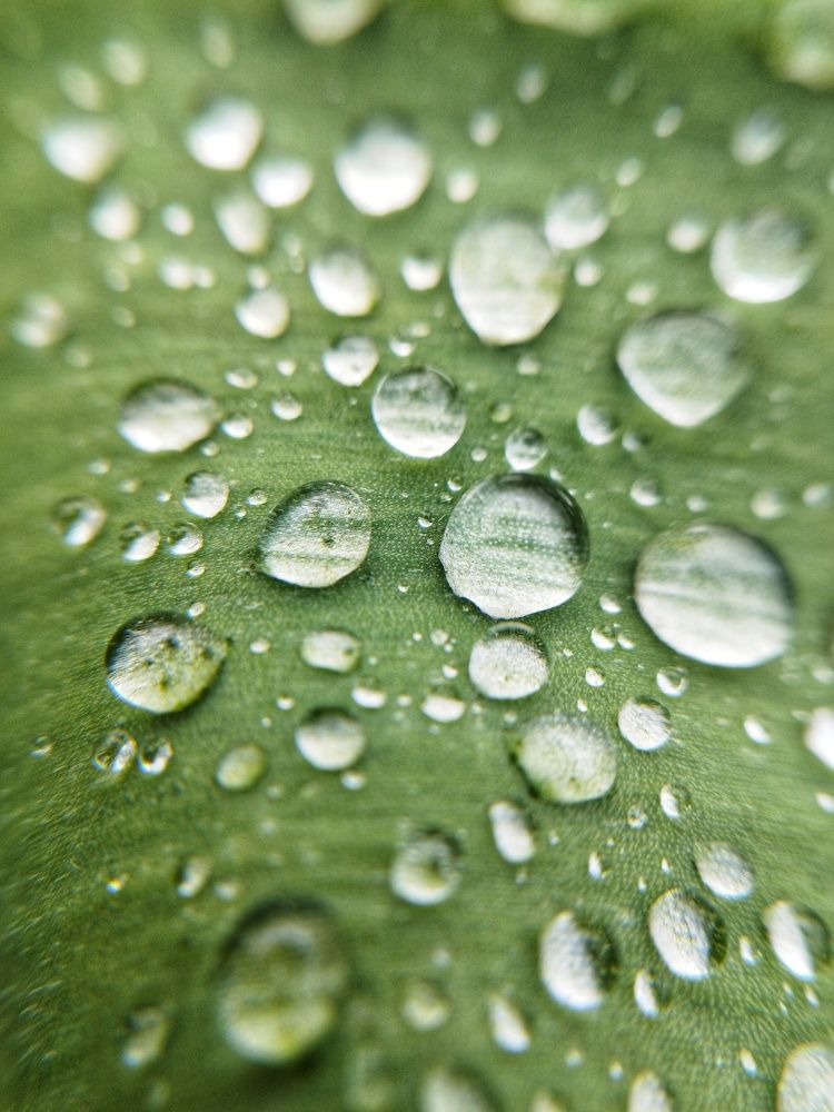 Photograph by Оксана Артимович