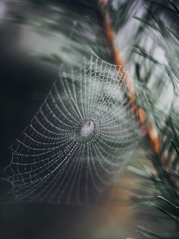 Photograph by Анна Любимова