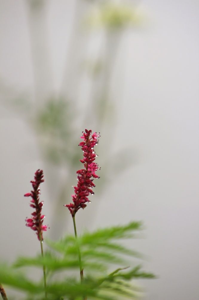 Photograph by Sarmad Sindhi