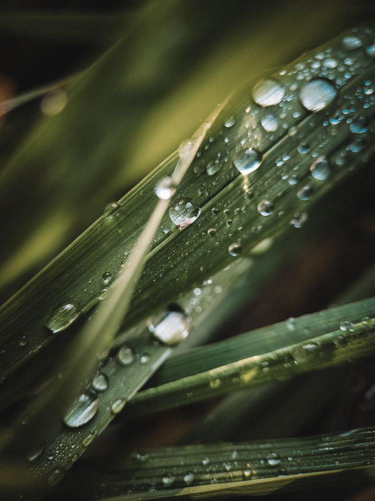 Photograph by Виктория Фирсова