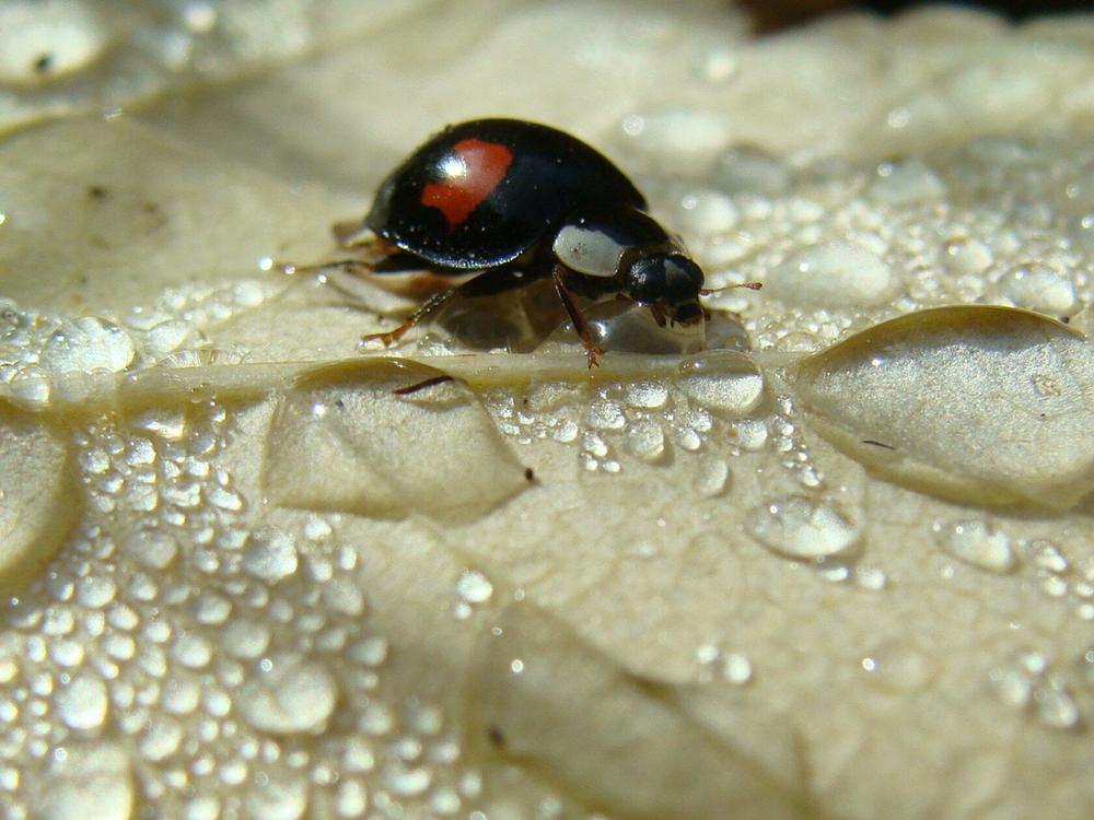Фотография автора Павел Попов