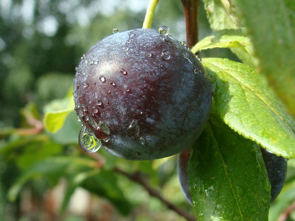 Фотография автора Павел Попов