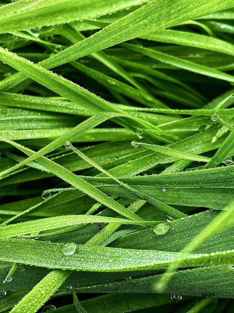 Фотография автора Nadezhda