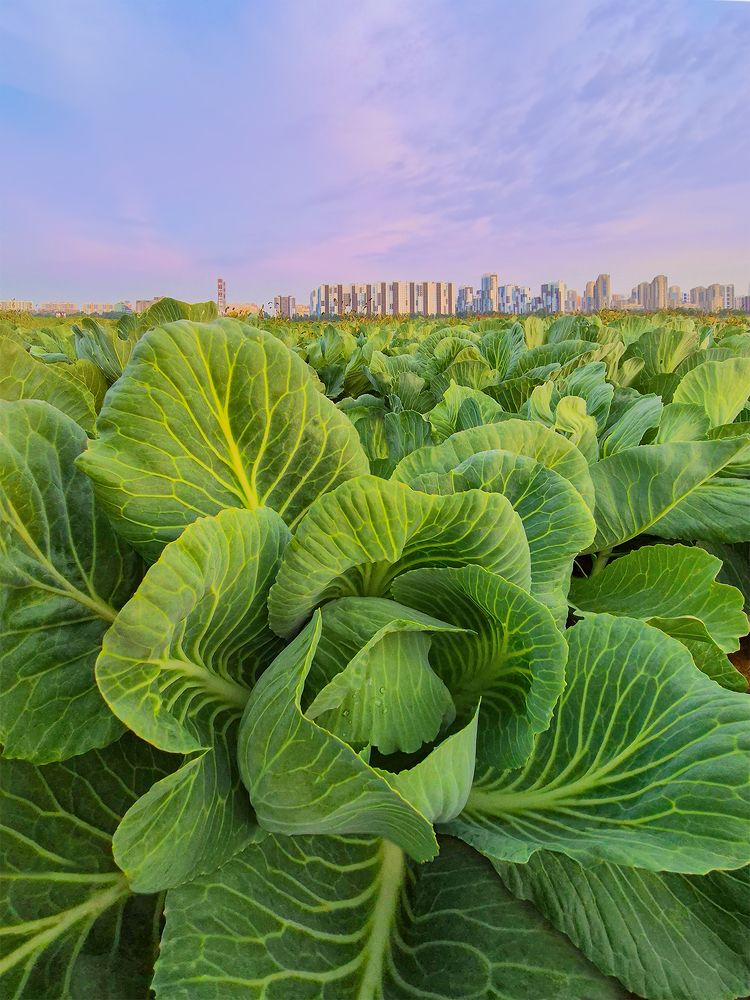 Photograph by Анжелика Титова