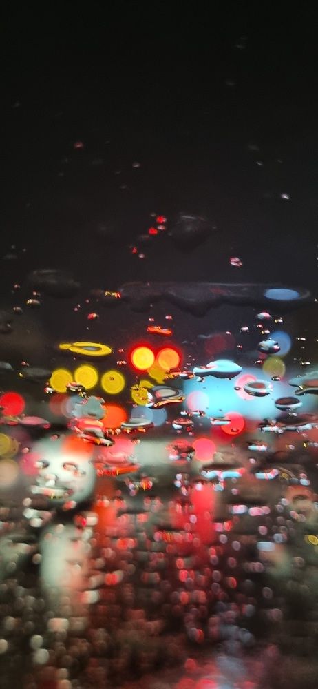 Photograph by Babak Akvan