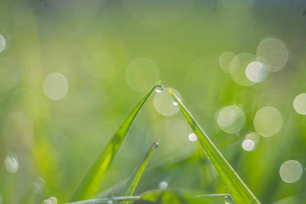 Photograph by Наталья Лещинская