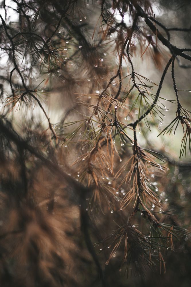 Photograph by Виктория Фирсова