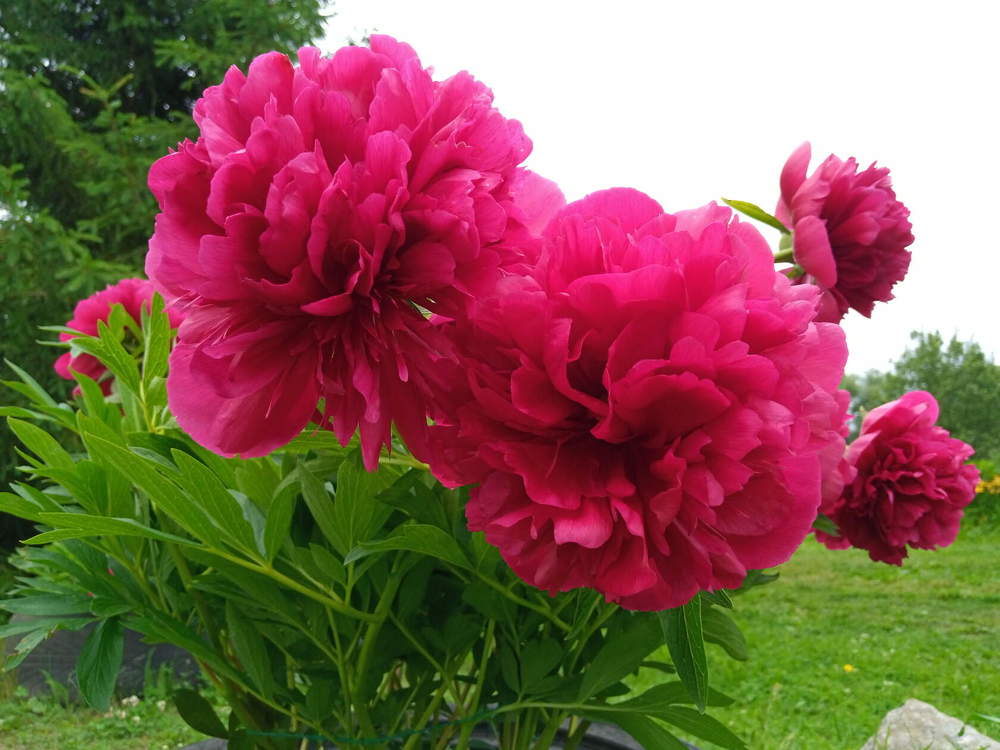 Photograph by Елена Кузина