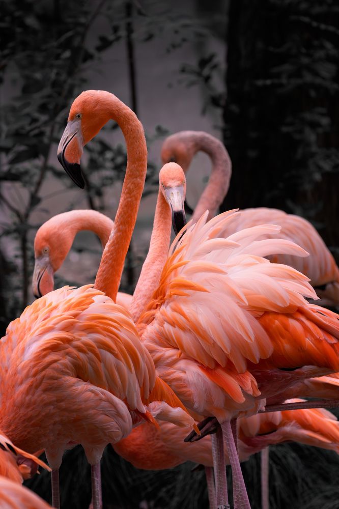 Photograph by Ni Bruce