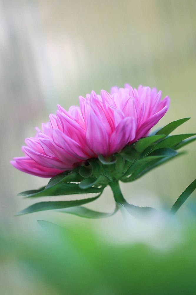 Photograph by Любовь Иванова