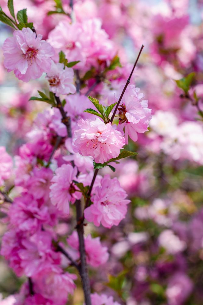Фотография автора Александра Крюковская