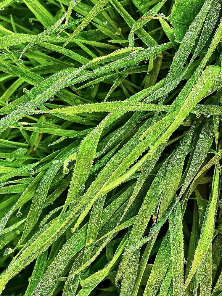 Фотография автора Nadezhda