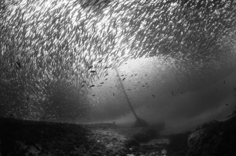 Photograph by ruben rockenbach manente