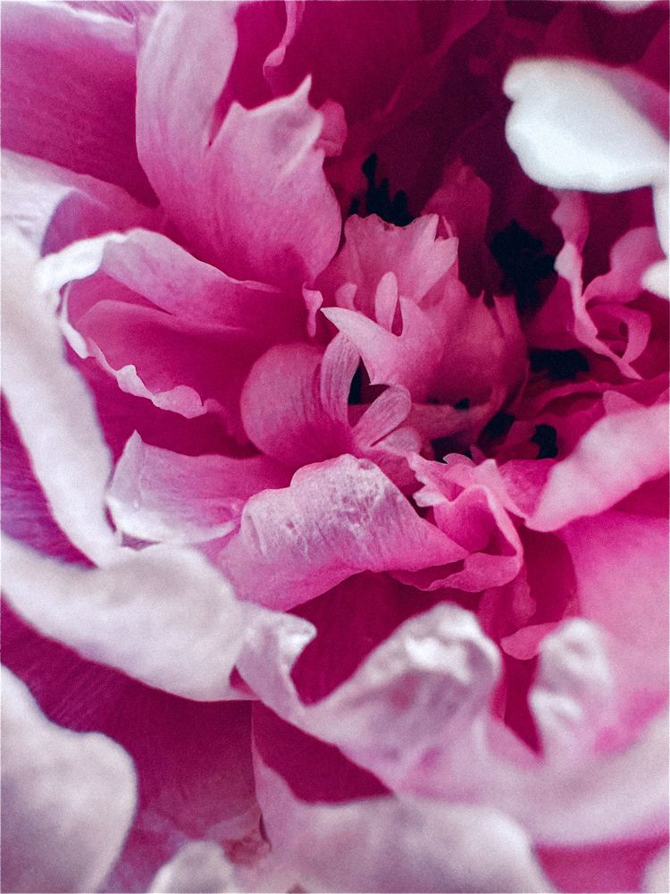 Photograph by Диана Бадеева