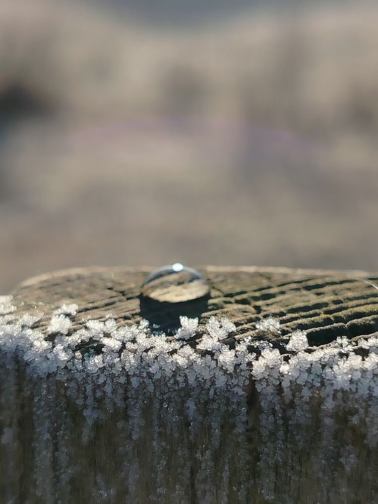 Photograph by Зульфия Набиуллина