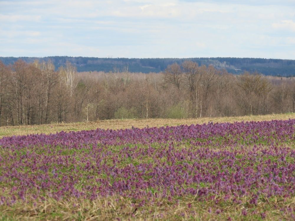 Photograph by Елена Кузина