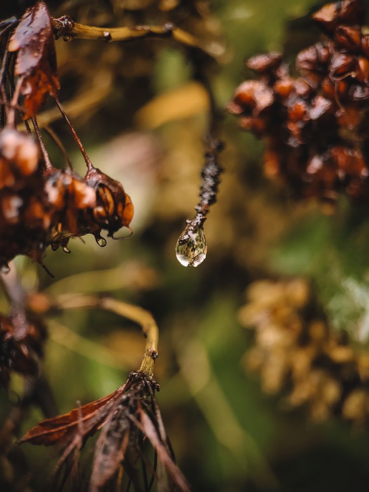 Photograph by Виктория Фирсова