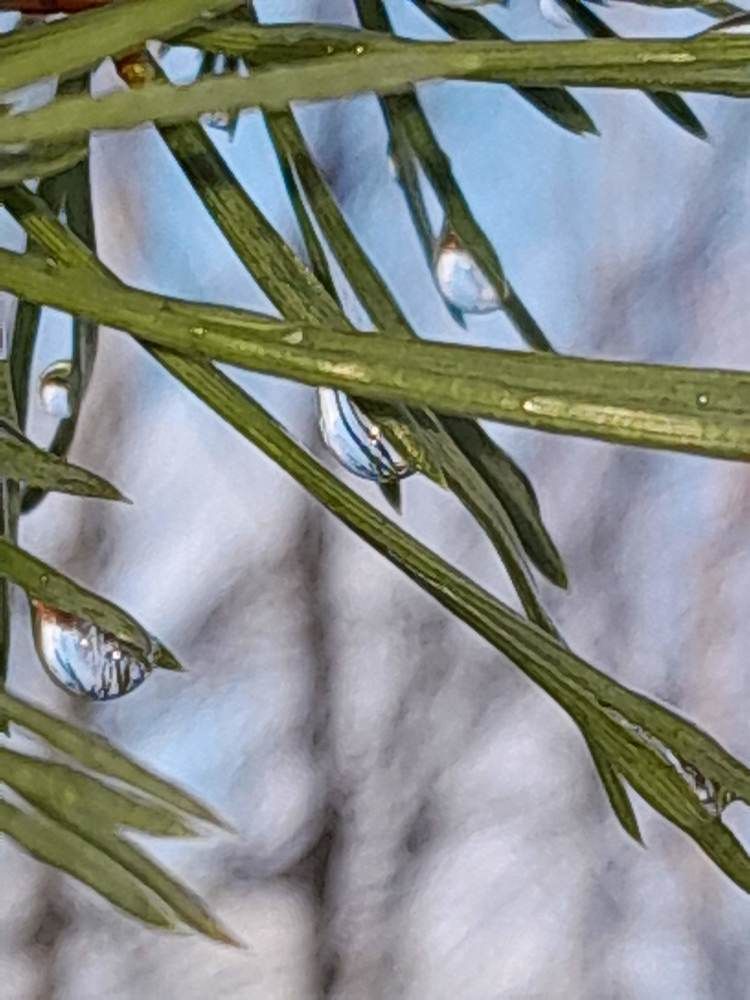 Photograph by Виталий