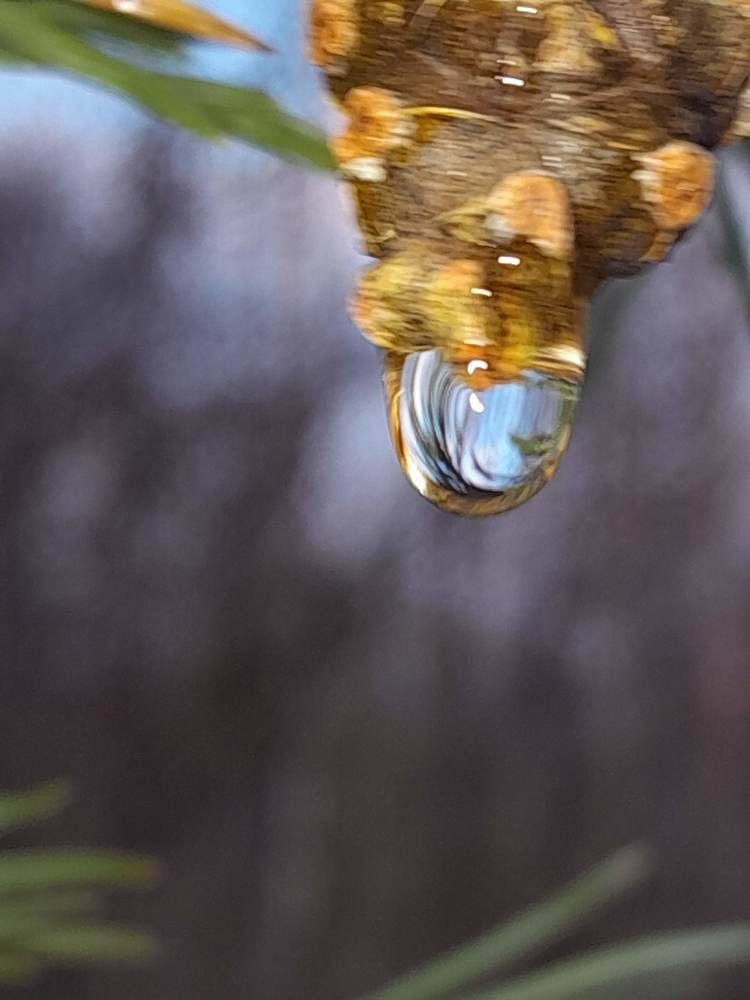 Photograph by Виталий