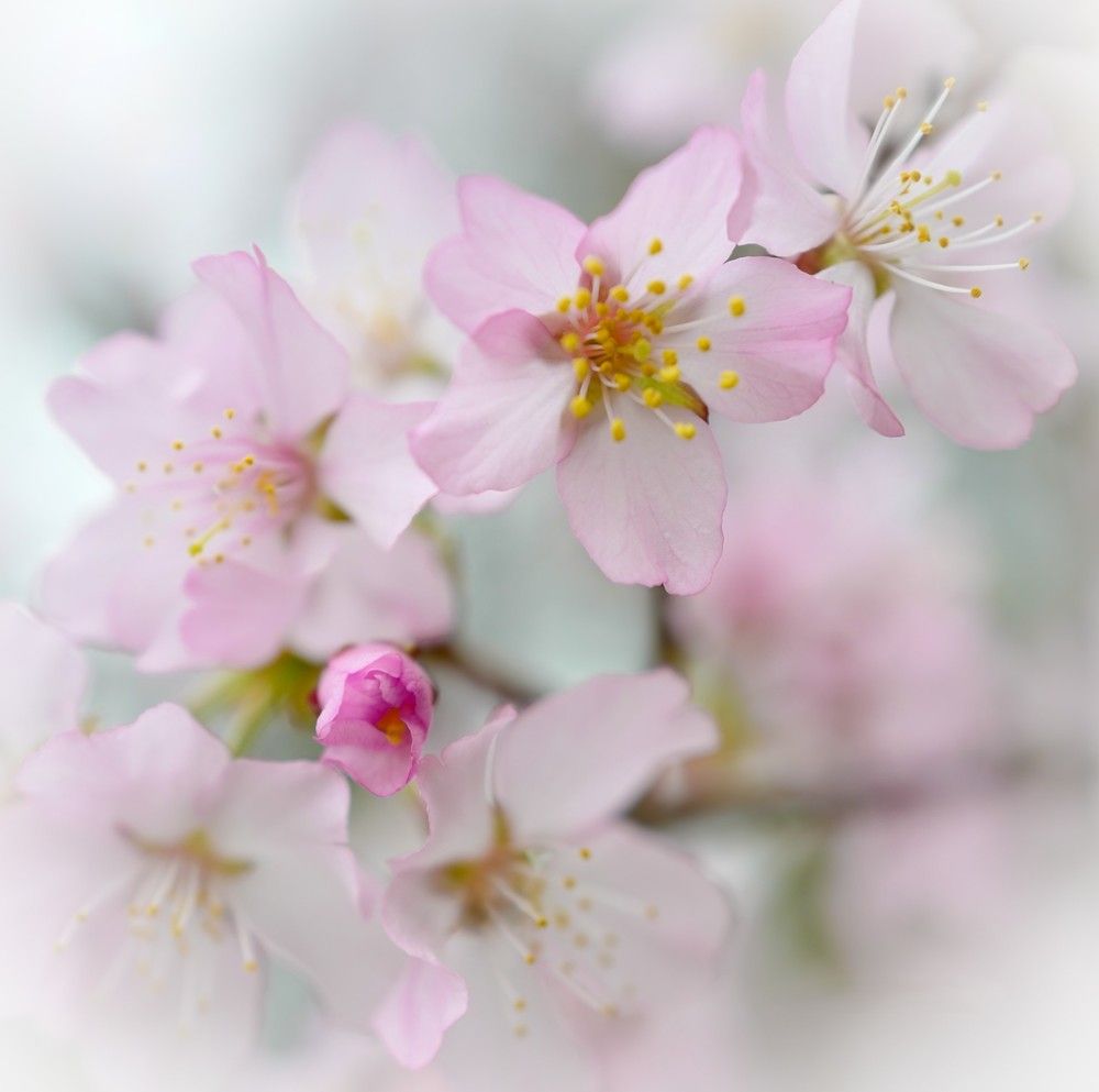 Photograph by Yulia Stepanova