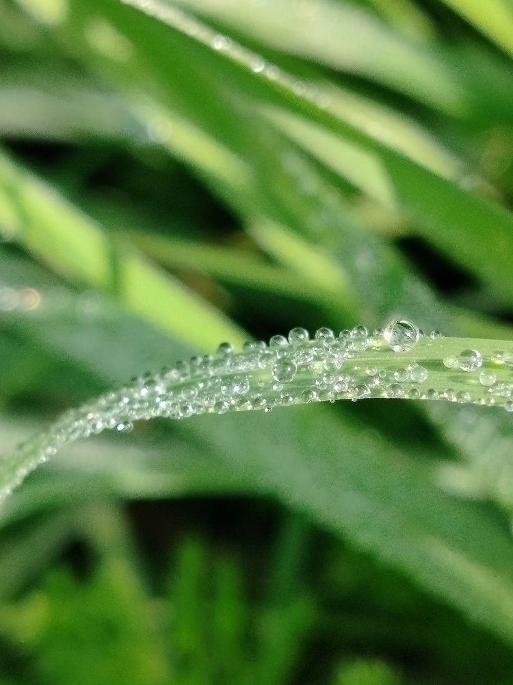 Photograph by Зульфия Набиуллина