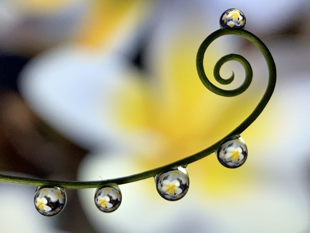 Photograph by Дмитрий Костяков