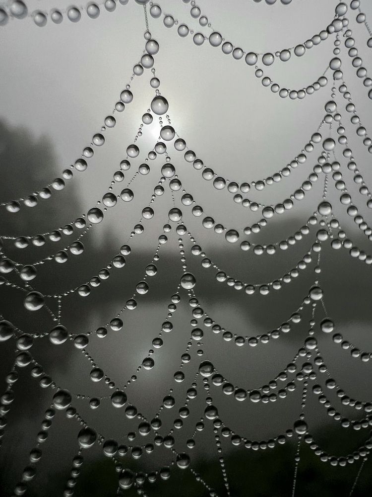 Photograph by Дмитрий Костяков